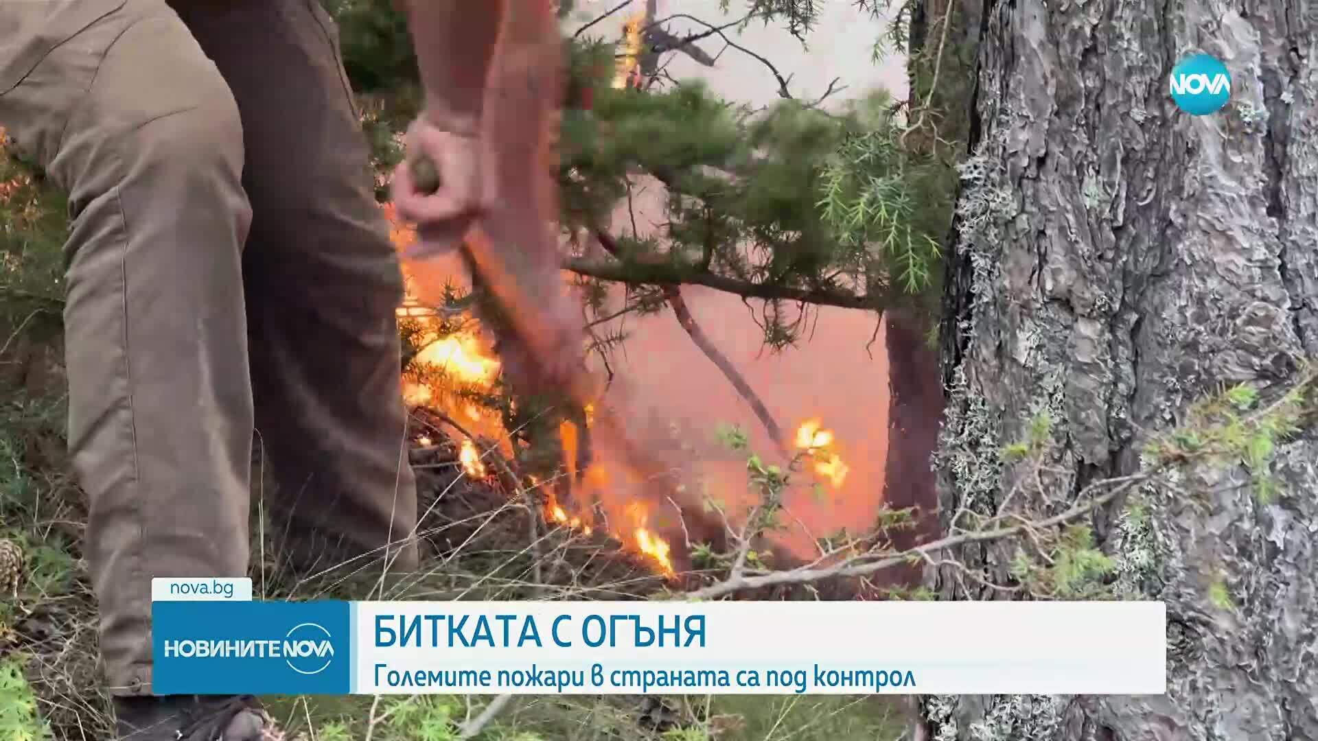 След близо месец борба с пламъците: Пожарът в Пирин е ликвидиран - изображение 2